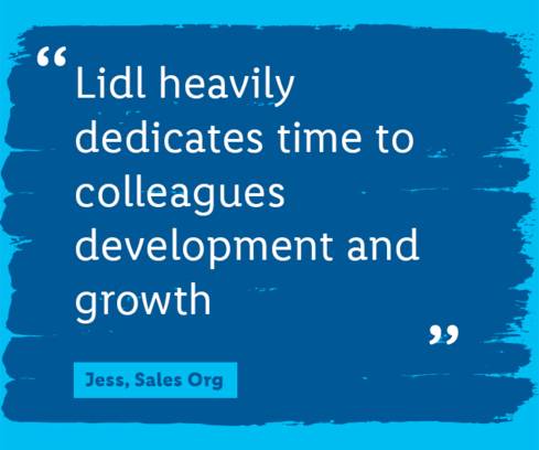 Lidl Sales office jobs